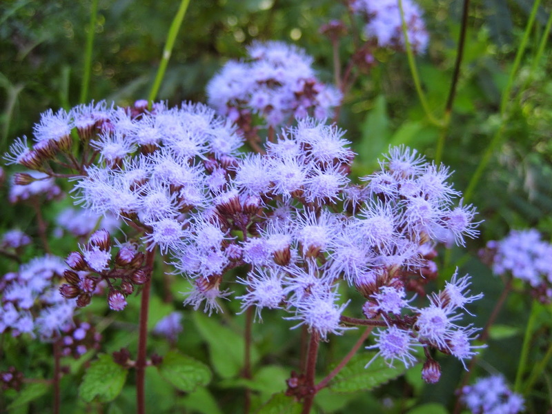 Placeholder  Picture