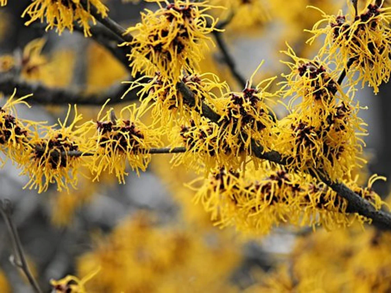 Placeholder  Picture