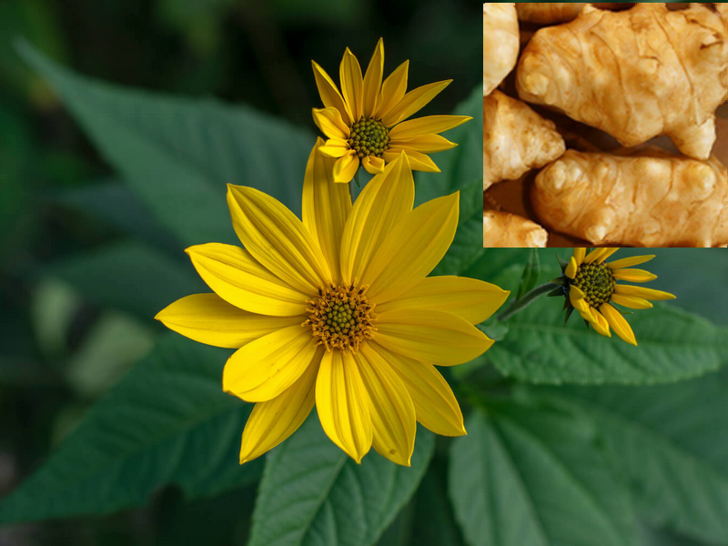 Placeholder  Picture